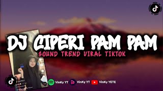 Download lagu DJ CIPERI PAM PAM SOUND TREND VIRAL FYP TIKTOK mp3