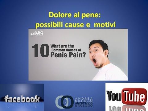 Come i grassi influenzano la potenza Lingrandimento del pene esercizi Stati