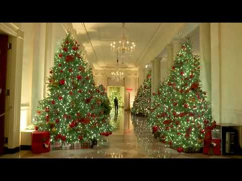 ホワイトハウスがクリスマスの装飾を披露 (White House unveils Christmas decorations)