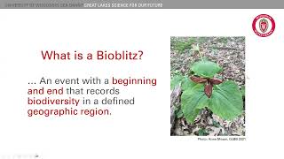 Wisconsin Science Festival 2025 - How to host your own bioblitz