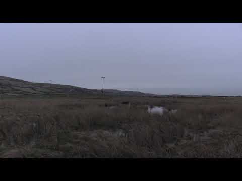 37401 thunders away from Askam 20/01/18