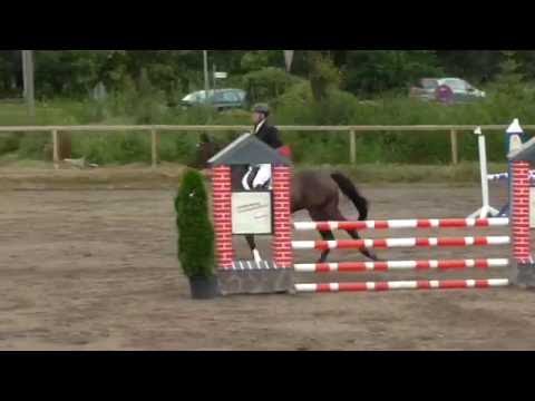 Calmando x Quintero, geb. 2011