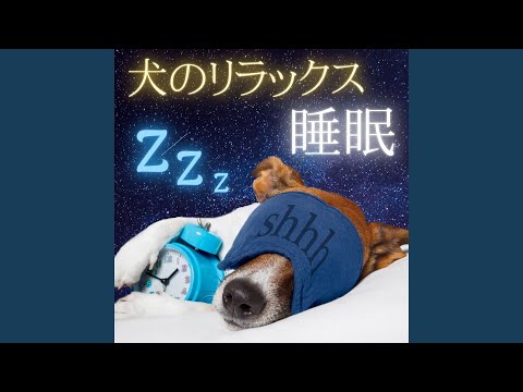 雨が怖い犬:落ち着かせる方法と対処法
