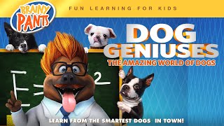 Trailer Preview Image