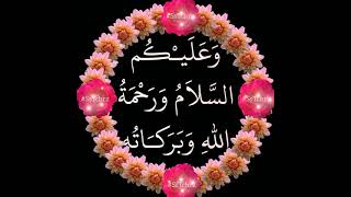 Download lagu Wa Alaikum Assalam | Subha Bakhair | Whatsapp Status | #SsTchrz #SsTchrzGoodMorning mp3 Download lagu Wa Alaikum Assalam | Subha Bakhair | Whatsapp Status | #SsTchrz #SsTchrzGoodMorning mp3