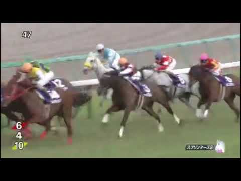 スプリンターズステークス2017