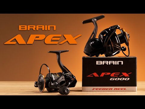 Катушка Brain Apex 20 3000 5+1BB - фото 1 - id-p2458459699