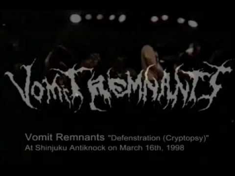 Vomit Remnants - Defenestration & Slit your Guts