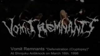 Vomit Remnants - Defenestration & Slit your Guts