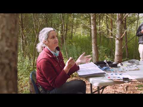 Field Ornithology with Emily Brodsky