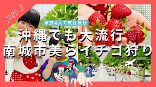 【沖縄観光】おすすめイベント 南城市美らイチゴ狩り 春の定番行事に✨日本の果物は観光客にも人気だよね🍓