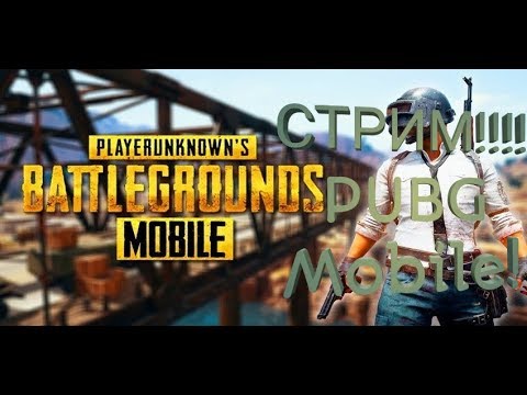 Первый стрим по PUBG Mobile