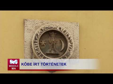Videó előnézet