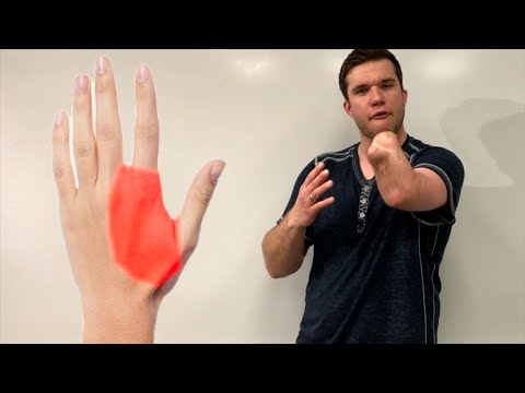 Phantom Limb Explained