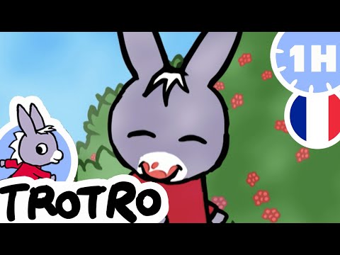TROTRO - 🍓Trotro aime les fruits 🍓  |NOUVELLE COMPILATION 2020|HD