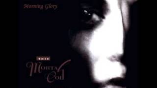 This Mortal Coil - Morning Glory