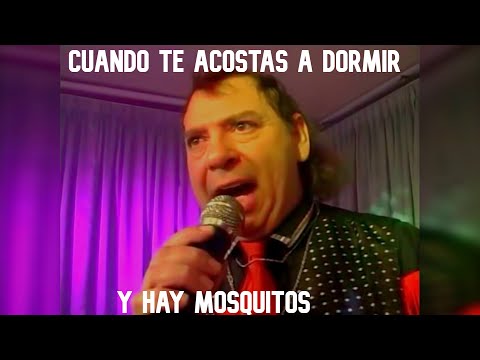 Los mosquitos en la noche - Fabian show