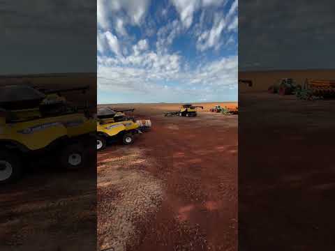 25 de fevereiro de 2026