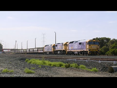 1KC6 Pacific National Grain Train - PoathTV Australian Railways