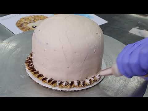 Step By Step Henrietta The Hedgehog Cake