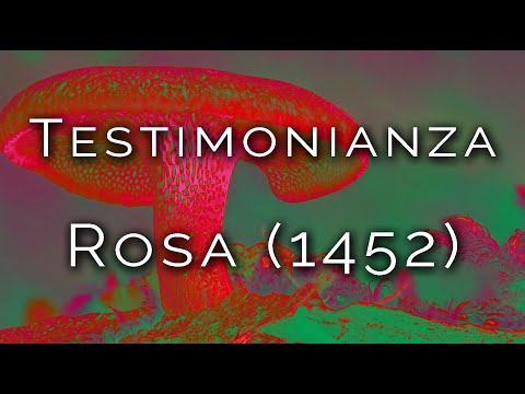 1455-IT Rosa, TESTIMONIANZA 1452  - Ipnosi Esoterica ∞ Lucio Carsi