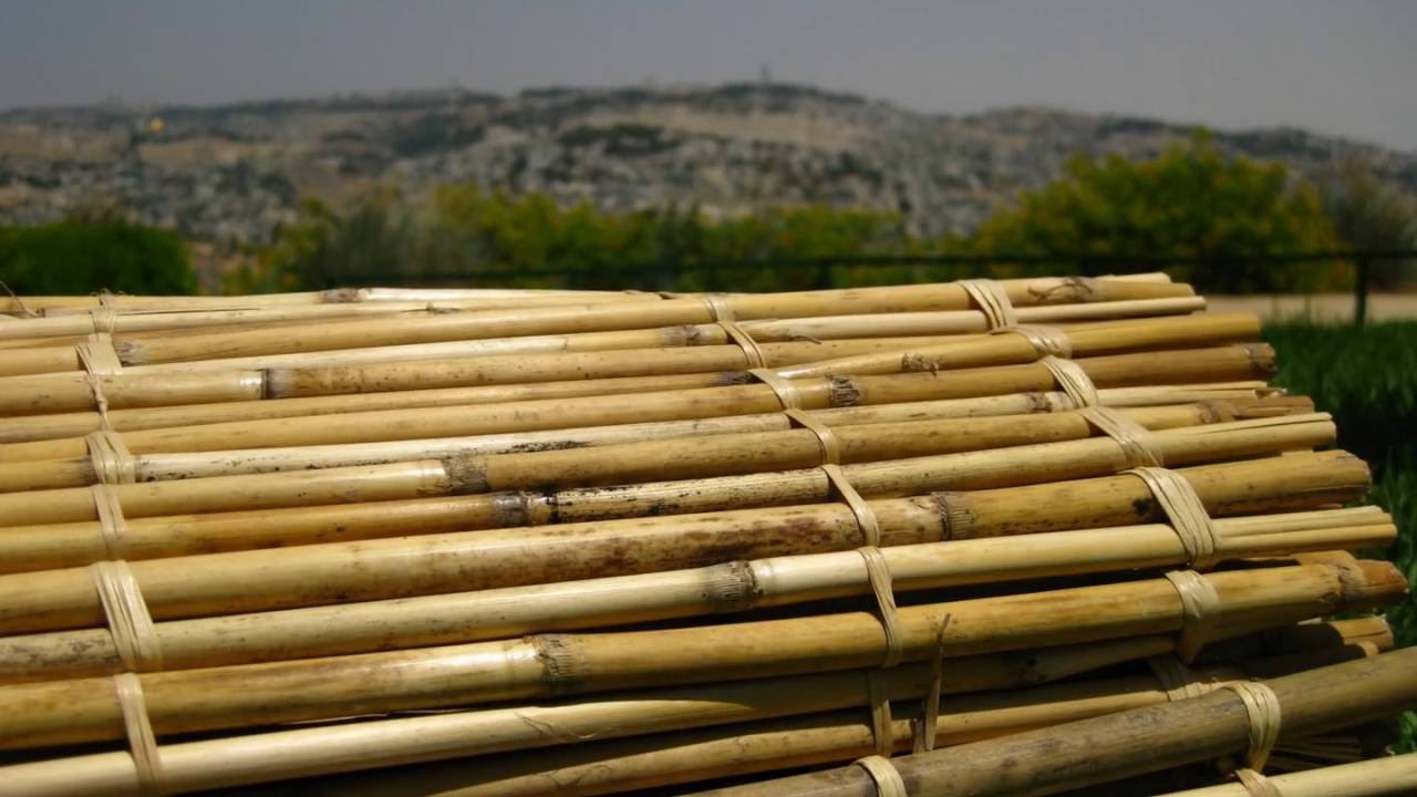 סכך לנצח - חייג 072-2133333