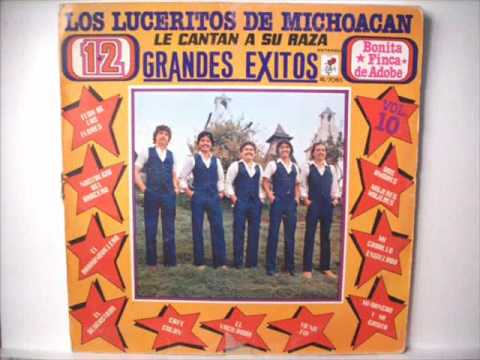 Los Luceritos de Michoacan- El desgastado.wmv
