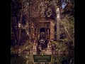 Psychedelic Witchcraft Horizons