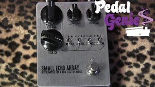 INFANEM Small Echo Array demo with MJT Strat & Quilter Micro Pro 10 Mach II