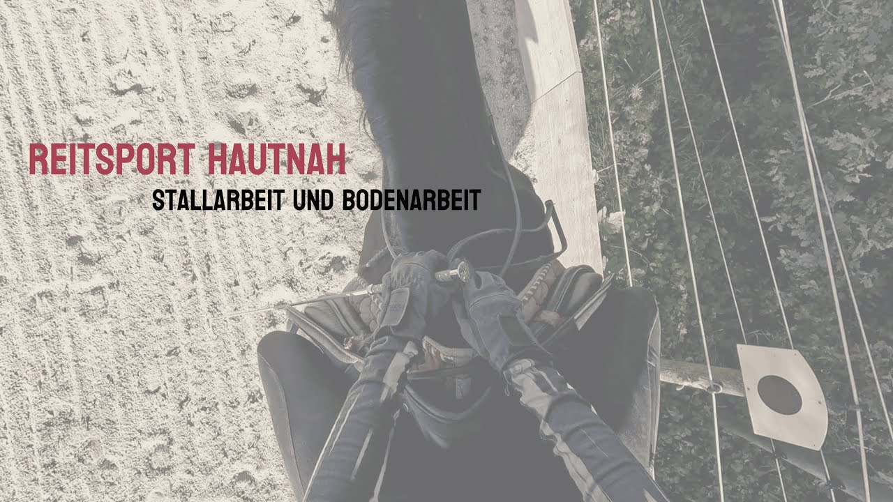 Reitsport hautnah - Tag 2