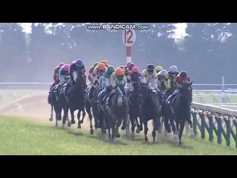 2017 Japanese Oaks International Group 1 2400m