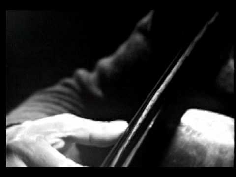Não te dói a Consciência - Nelson Cavaquinho