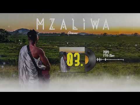 DRIEMO ft Yo Maps - POPO REMIX (official audio visualizer) #Mzaliwa