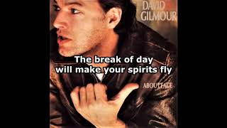 David Gilmour - All Lovers Are Deranged