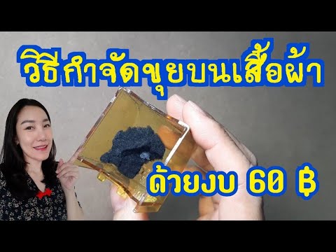 คลิกเพื่อดูคลิปวิดีโอ