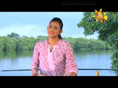 Hiru TV