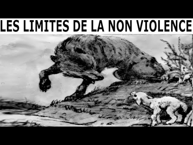 Vidéo Prononciation de fragile en Français
