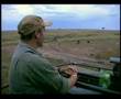 Big Cat Diary Clip