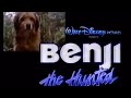 Benji The Hunted Commercial 1987