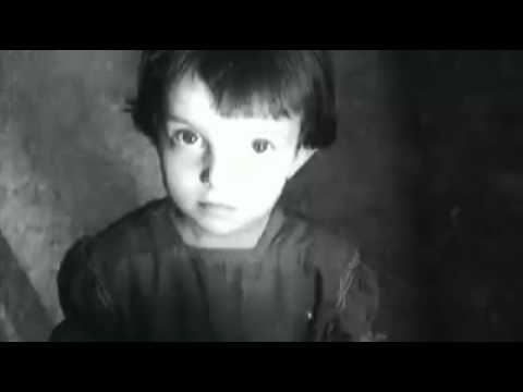 Spende für Kärnten