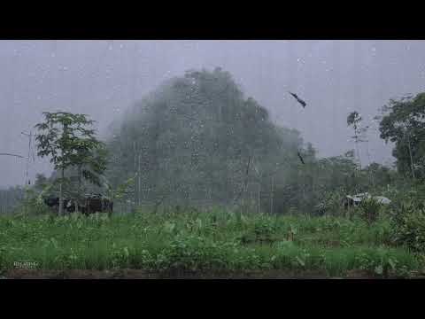 Pure Heavy Rain in Garden with Deep Thunder Sounds - Real Rain Sounds for Sleeping, Relaxing, Read