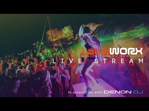 LW Live Stream - August Pt. 2