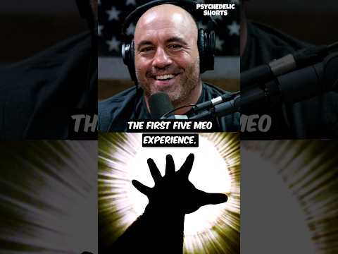 Joe Rogan's First Time on 5-MeO-DMT 🚀