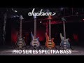 Jackson Pro Series Spectra Bass | Featured Demo | Jackson Guitars