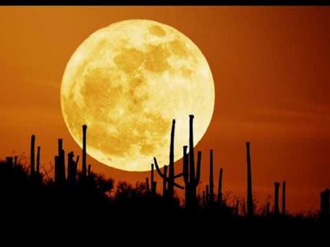 Shahin & Sepehr - October Moon