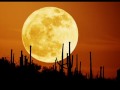Shahin & Sepehr - October Moon