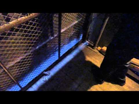 Riding my first manually controlled freight elevator w/HiFiAndElevators22