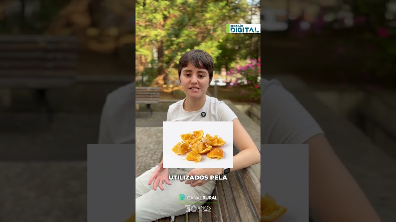 Você sabia que a laranja vale muito além do suco?