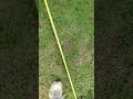Decibel test