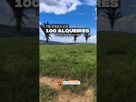 EXCELENTE PROPRIEDADE 100 ALQUEIRES MONTE FORMOSO-MG R$ 2.8 MILHÕES #luxo #rural #agro #roça #gado